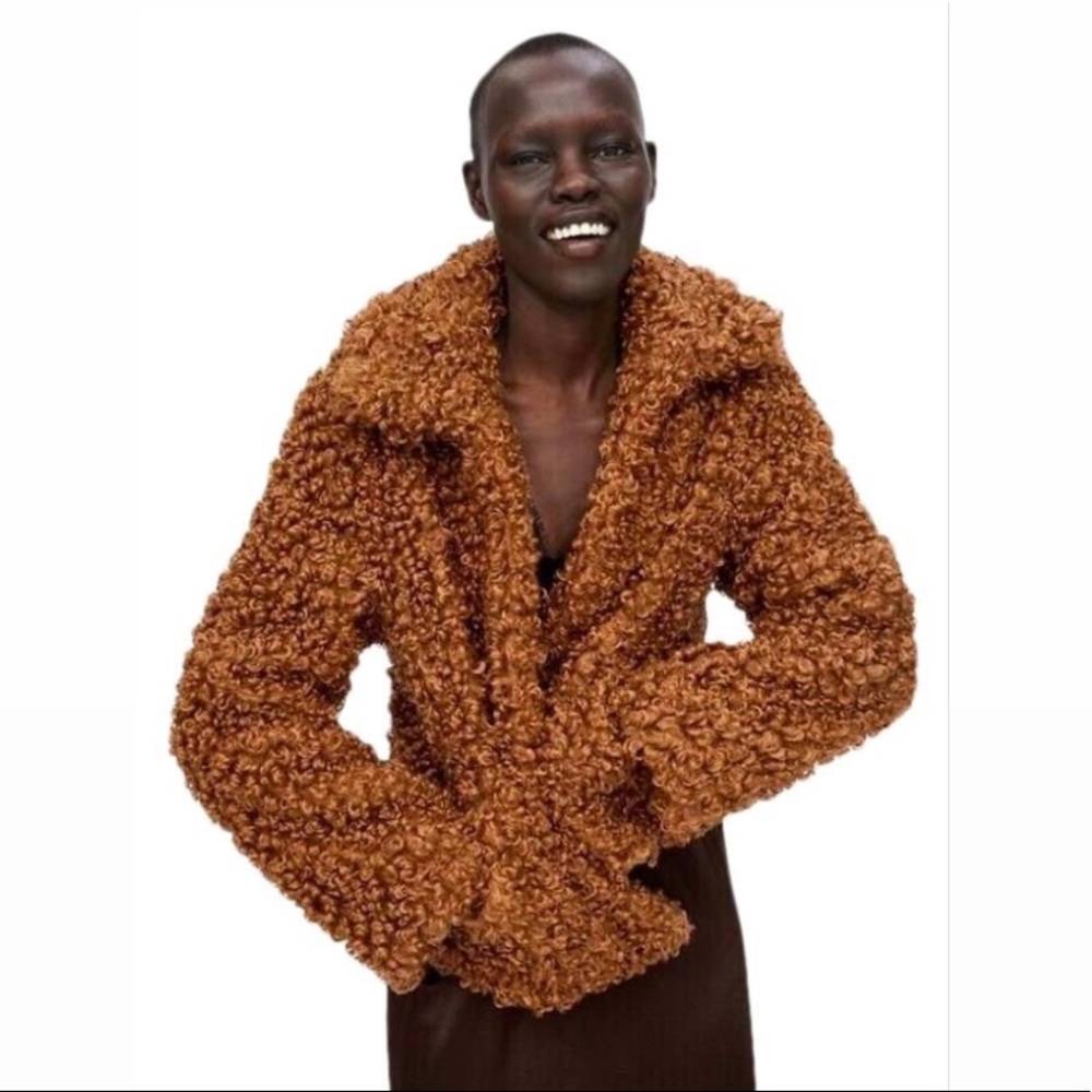 Zara Brown Curly Faux Fur Jacket